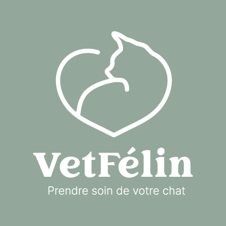 Vétérinaire Félin